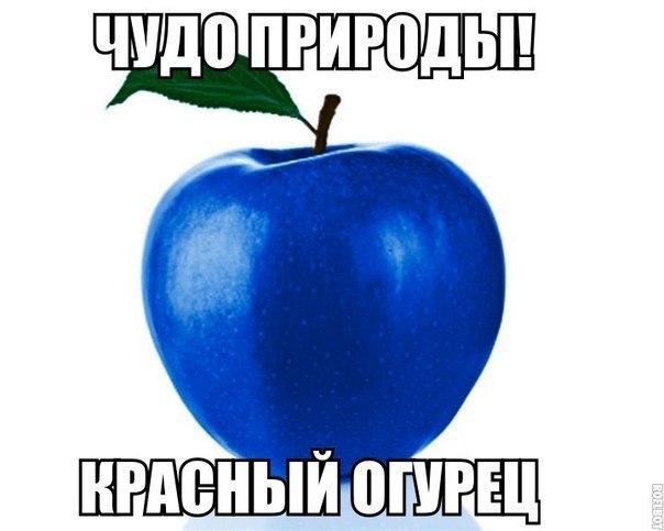  - 8  2015  19:48