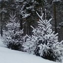 20 ����� 2015 �. �� ������� ��������