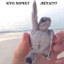 ���� Ivan, ������� ��������, 41 ��� - ��������� 13 ������ 2015 � ������ ������ ��������