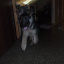 ���� Alexandr, �����-���������, 45 ��� - ��������� 11 ������� 2015 � ������ �����