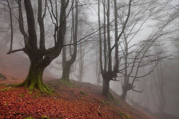    (Gorbea Natural Park)     ().    ... - 6