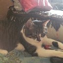 ���� �����, ������ - ��������� 4 ����� 2015 � ������ ������ ��������