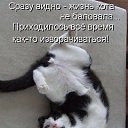 ���� �������, �������, 51 ��� - ��������� 13 ����� 2015 � ������ ������ ��������