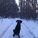 ���� ���������, �����������, 41 ��� - ��������� 7 ������� 2015