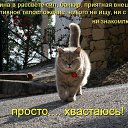 ���� �����, �����-���������, 50 ��� - ��������� 12 ����� 2015 � ������ ������ ��������