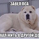 ���� ������, �������-����������, 54 ���� - ��������� 11 ������ 2015 � ������ ������ ��������