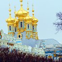 ���� ������, �������, 59 ��� - ��������� 20 ������� 2015 � ������ ������ ��������