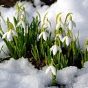���� �����, ������ - ��������� 3 ����� 2015
