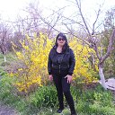  Gohar,  -  13  2015    