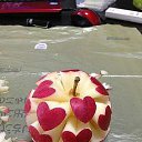  Joni, , 39  -  13  2015    