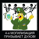 ���� ���������, ��������, 34 ���� - ��������� 4 ������ 2015 � ������ ������ ��������