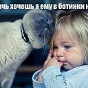 ���� �����, �����-��������� - ��������� 15 ������ 2015 � ������ ���� ����������