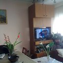  Slobodan, , 66  -  22  2015    