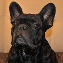 ���� �����, ������, 50 ��� - ��������� 9 ������� 2015 � ������ ������ ��������