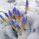 ���� �����, ������������ - ��������� 9 ����� 2015 � ������ ������ ��������