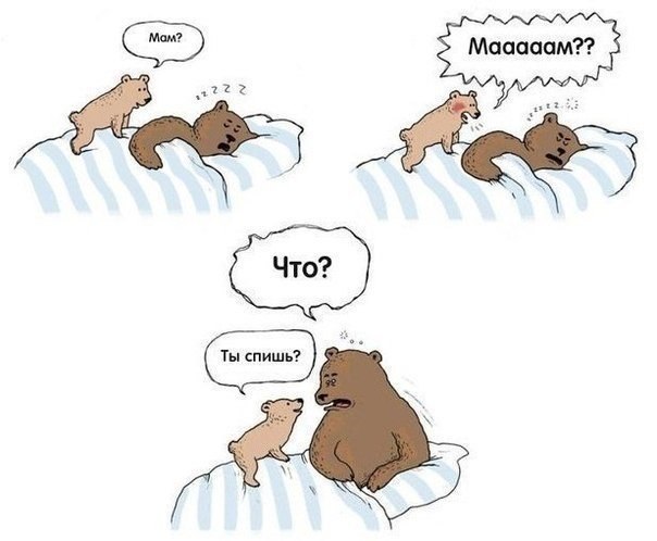 ���� - ����� �������� ��������� �� �����!