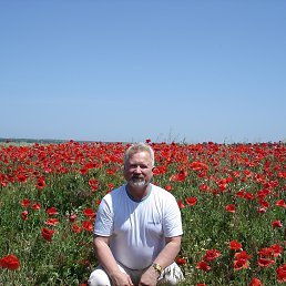 ���� ���������, ������, 69 ��� - ��������� 23 ������� 2014