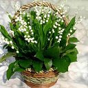 ���� ��, ���������, 59 ��� - ��������� 20 ������� 2014 � ������ ���� ����������