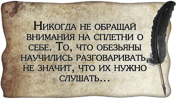 ������� �������� - 1 ������ 2015 � 08:19