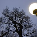 ���� Jyri, ������, 55 ��� - ��������� 30 ������ 2015 � ������ �Tallinn january 2015�