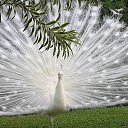  ,  -  24  2015     !!!!