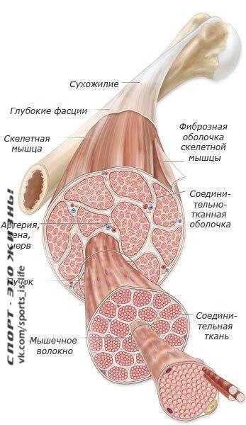     ?      ?     - ... - 2