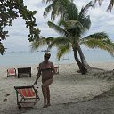  , , 56  -  13  2015   , 2014