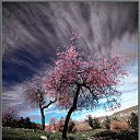 ���� �����, ������, 66 ��� - ��������� 27 ������� 2015 � ������ ������ ��������