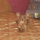 ���� ������, �������, 61 ��� - ��������� 17 ������� 2015 � ������ ���� ����������