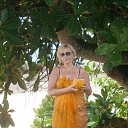 ���� ��������, ������ - ��������� 29 ������ 2015 � ������ ���� ����������