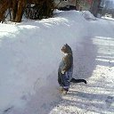 ���� �����, �������, 61 ��� - ��������� 28 ������ 2015 � ������ ���� ����������