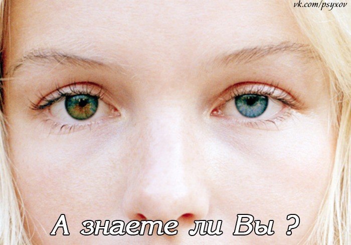 А знаете ли Вы…? 1. Чингиз Хан умер во время секса 2. Альберт Эйнштейн никак не мог запомнить свой ...