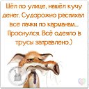 ���� ������, ������, 41 ��� - ��������� 2 ������ 2015 � ������ ������ ��������