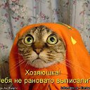 ���� �������, ��������� - ��������� 9 ������ 2015 � ������ ������ ��������