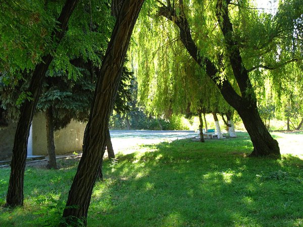 Город Шахты. Городской парк Культуры и Отдыха, ныне Александровский Парк. - 12