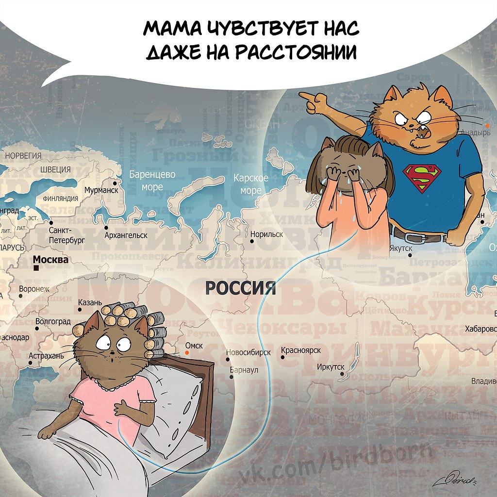    ,      ,     .     ... - 6