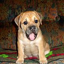 ���� ������, �������, 86 ��� - ��������� 21 ����� 2015