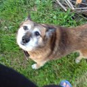 ����� �� ������� ���� ����������