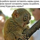 ���� ������, ������ - ��������� 2 ������ 2015 � ������ ��������)))�