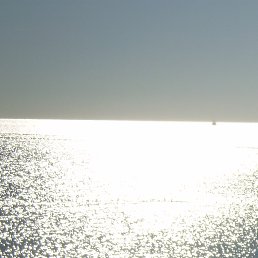 �����, �������, 48 ���