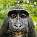 ���� ����, ���� - ��������� 20 ����� 2015