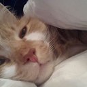 ���� ����, ������ - ��������� 5 ������ 2015 � ������ ������ ��������