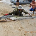 ���� �������, ���������, 56 ��� - ��������� 4 ������ 2015