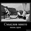 ���� ���������, ������� - ��������� 5 ������ 2015 � ������ ������ ��������