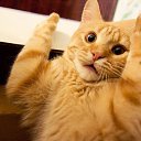 ���� �����, �������, 39 ��� - ��������� 21 ������� 2015 � ������ ������ ��������