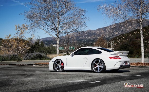 Porsche 911 Carrera S - 5