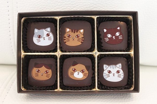 Nyarshmallow & Cat Chocolate - 7