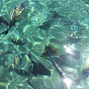 ����� �������� ���� �� ������� ���� ����������