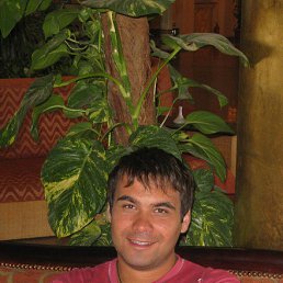 ����, ������, 46 ���