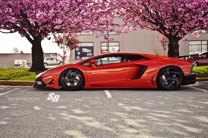 ���� ������ ����� - 25 ������� 2014 � 04:33 - 6